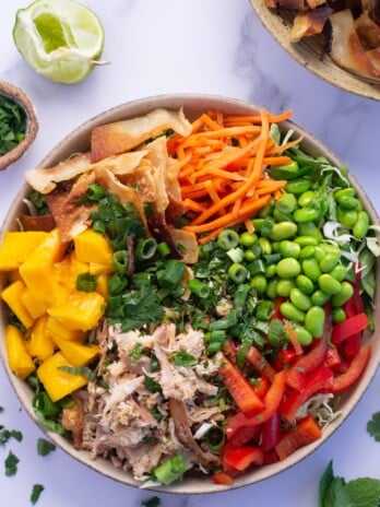 Thinly sliced cabbage and lettuce salad topped with julienned carrots, juicy mango, thinly sliced bell pepper, shredded chicken, fresh herbs, crispy wontons and toasted sesame vinaigrette