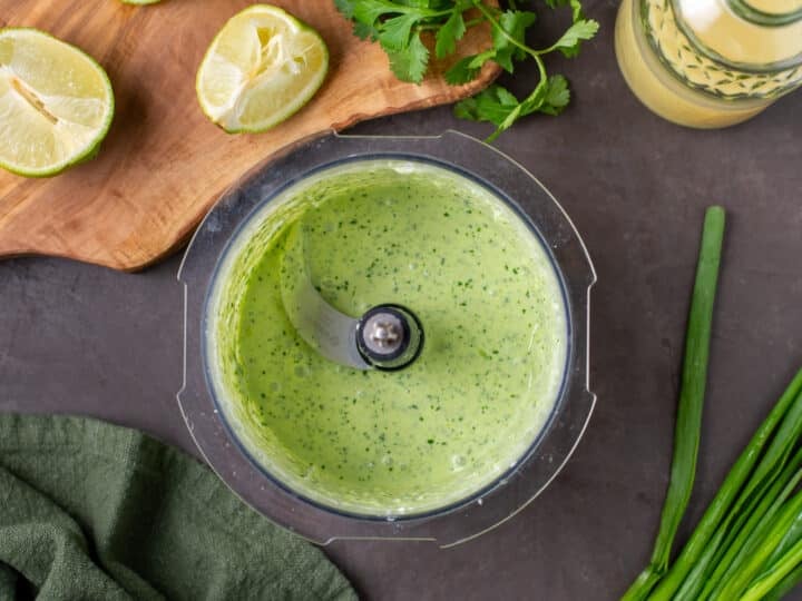 cilantro yogurt sauce blended in food processor