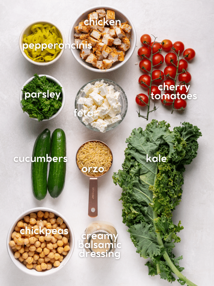 picture of the ingredients needed to make the recipe