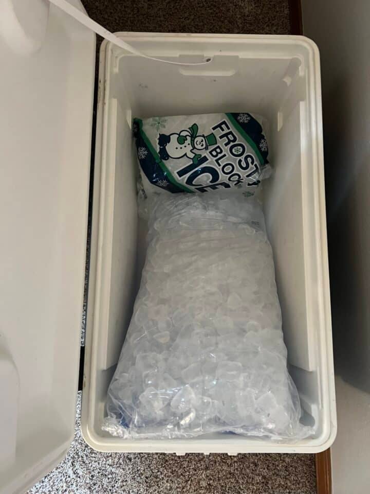 ice packs in cooler to chill the night before