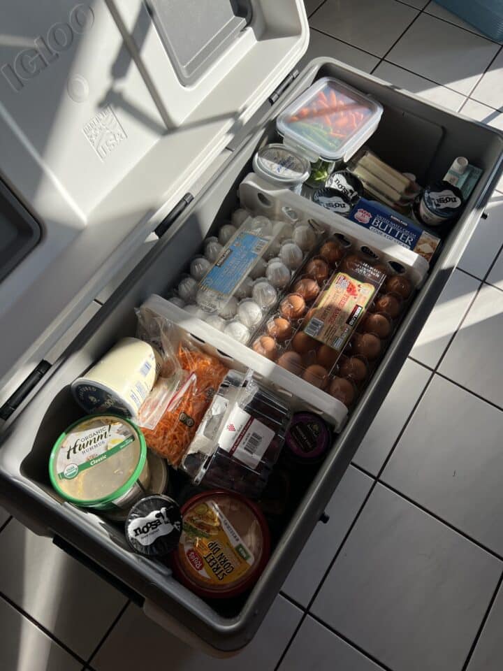 frozen food packed neatly into a cooler