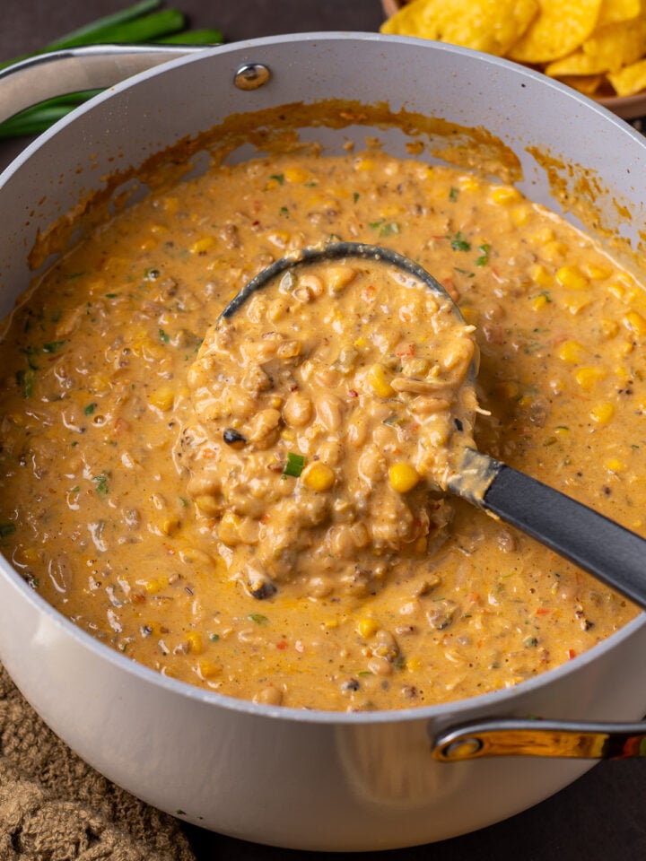 Ladle filled with thick and creamy chicken chili with white beans, Italian sausage, roasted corn and shredded chicken.