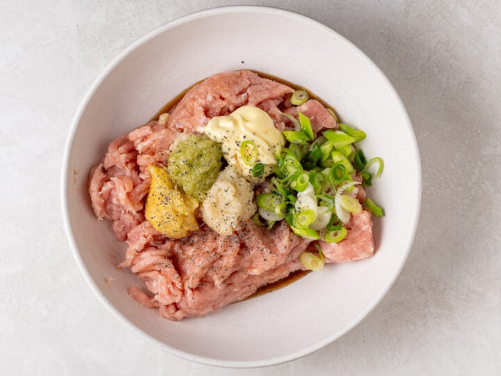 Ground chicken in a mixing bowl with garlic, ginger, lemongrass, fish sauce, mayo and sliced green onions.