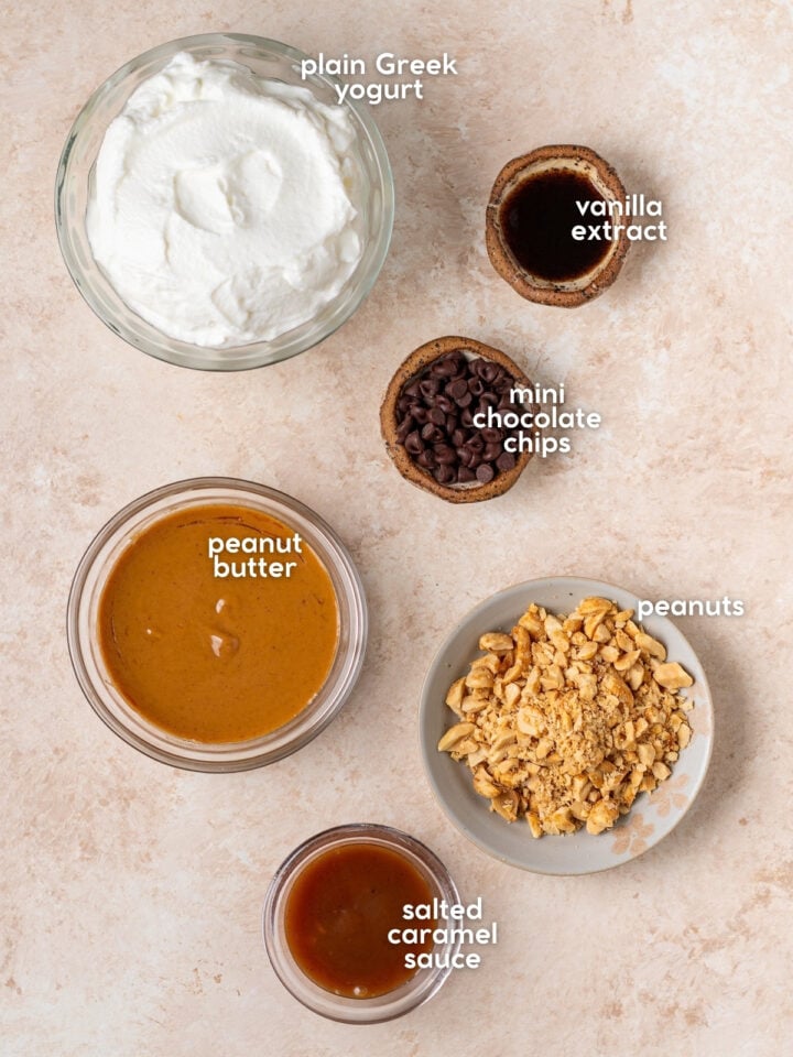 Overhead shot of labeled ingredients including plain Greek yogurt, peanut butter, salted caramel sauce, vanilla extract, mini chocolate chips and chopped peanuts